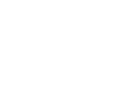 Evolution games at Big Winner Casino